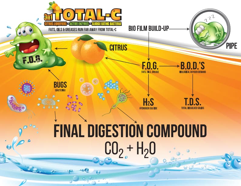 Total-C Chemistry Explained | All Ways Drains Colorful science infographic about the 'Final Digestion Compound' (CO2 + H2O) with a cartoon green blob, citrus fruits, and arrows showing digestion steps and microbes.